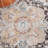 Desieree Performance Oriental Rug-239395748