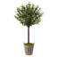Olive artificielle 43,5 po en pot