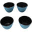 Ensemble de 4 tasses à thé Tetsubin