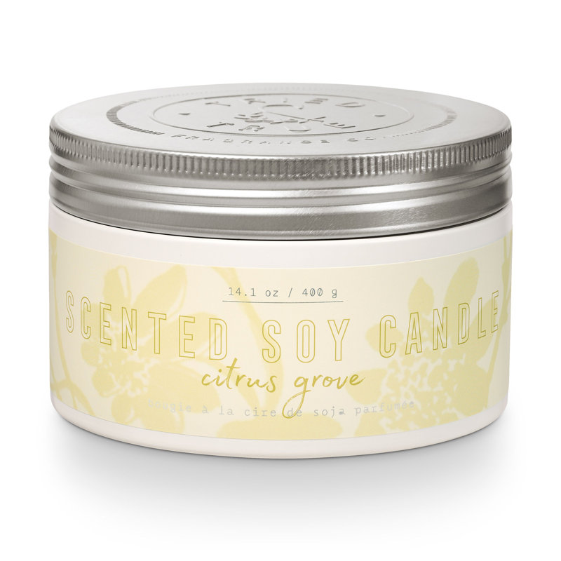 Essayé et vrai gros fer-blanc, agrume, 14,1 oz blanc / étain argenté