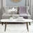 Shaunie Single Coffee Table