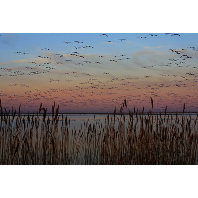 Sunset At Forsythe by Cjmckendry - Wrapped Canvas Print