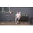 Aleksy Swivel 26'' Counter Stool-72553539