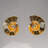 Two Genuine Polished Calcified Ammonite Halves in Display Box (0.5 Lbs)