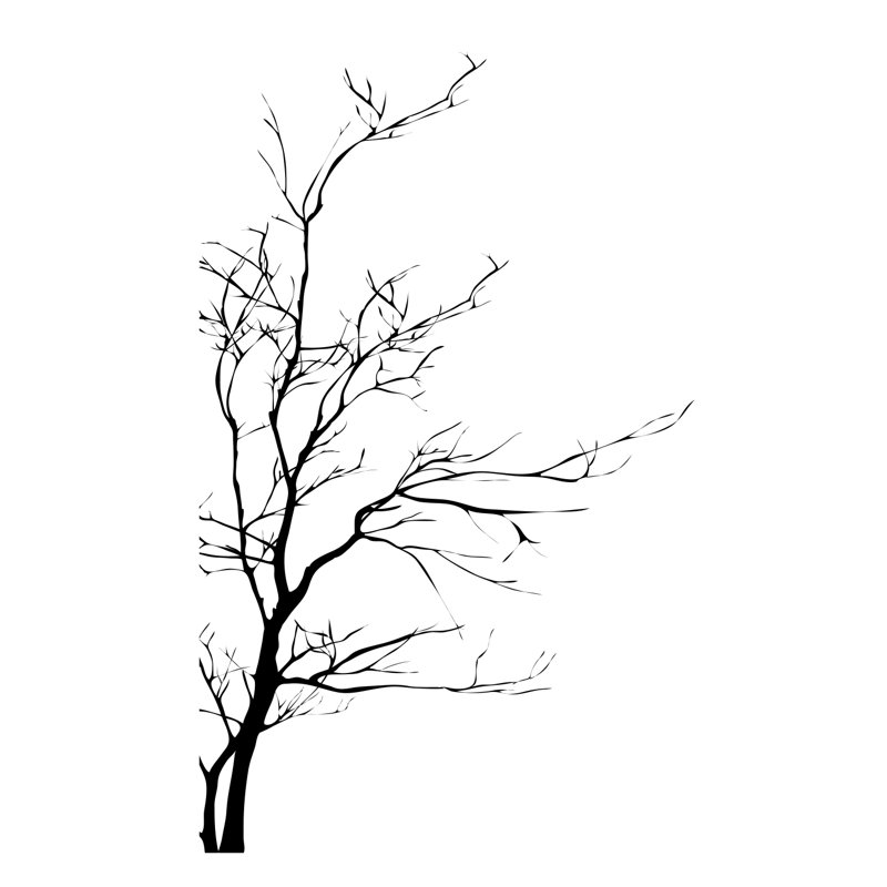 AC223 Plants & Flowers Wall Decal