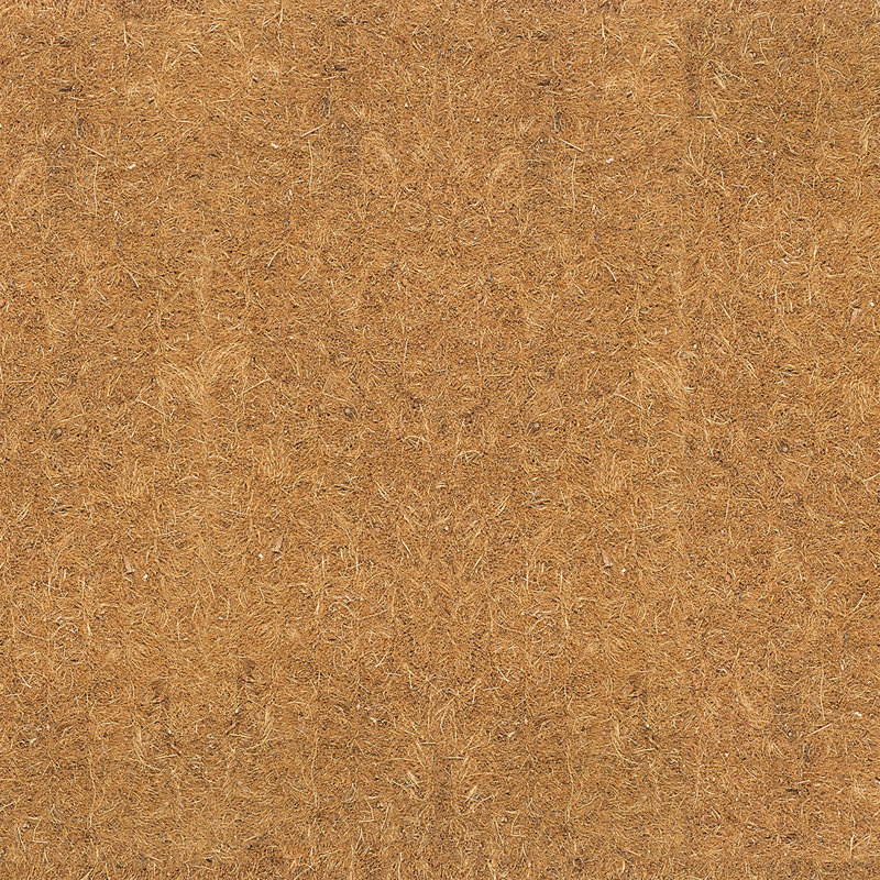 Paillasson Alece, 18" W x 30" L - Thick