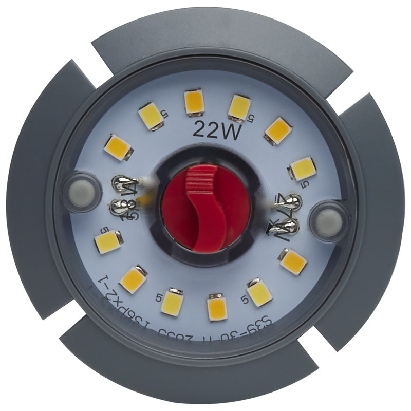 Corncob LED, Dimmable Light Bulb, Selectable CCT, EX39/Extended Mogul Base