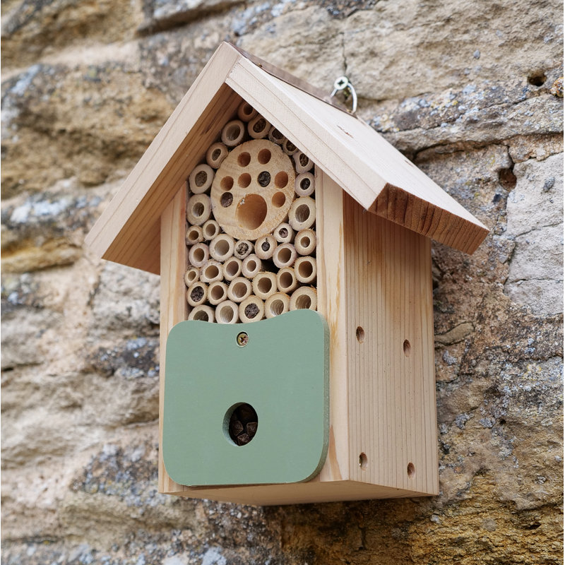 Abeille grange