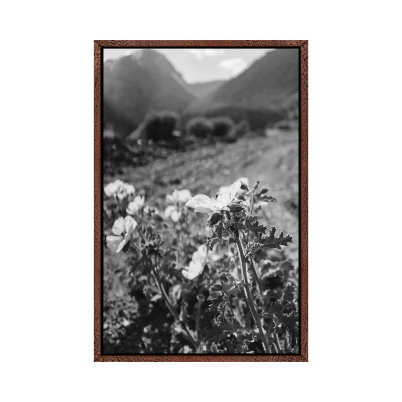 Monochrome Yosemite Blooms by Bethany Young - Print on Canvas, Classic Brown Wood Framed, 152.4cm H x 101.6cm W x 3.81cm D