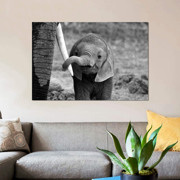 Bjoern Alicke - Wrapped Canvas Print, 101.6 cm H x 66.04 cm W x 3.175 cm D