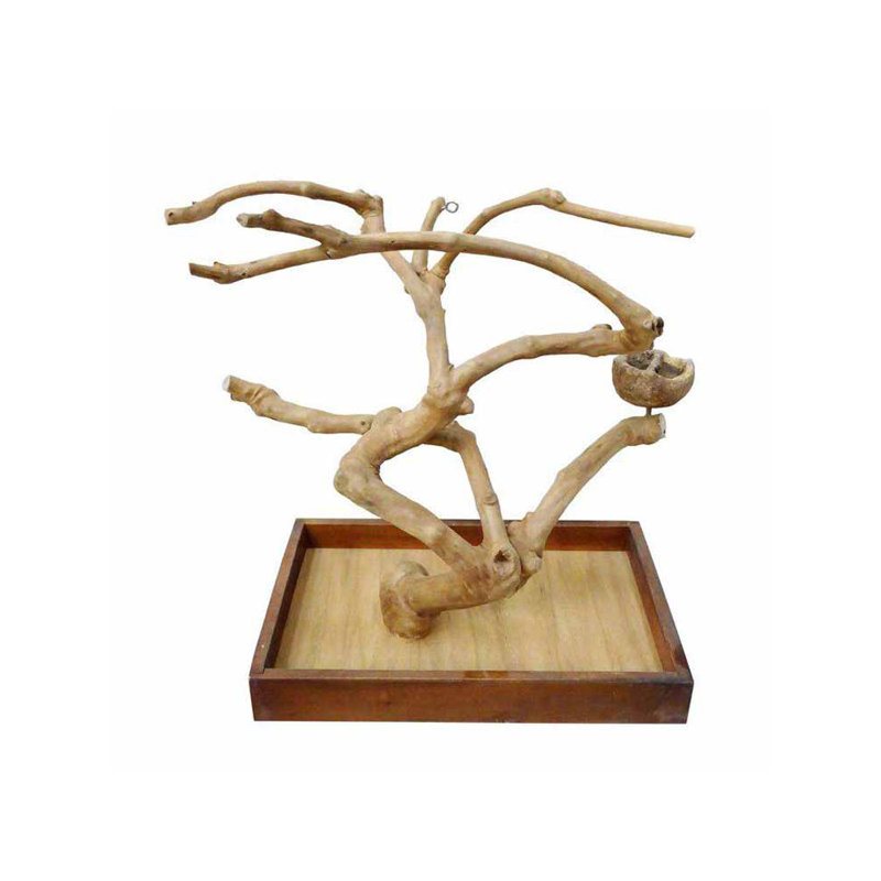 One-of-a-Kind 13.75'' Bird Play Stand for Table Top