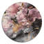 Fleurs d'hortensia rose - hortensia, art mural rond sur métal-88627575