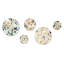 Craner - ensemble d'art mural rond de 5 plantes