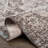 Oriental Indoor Rug-491321804