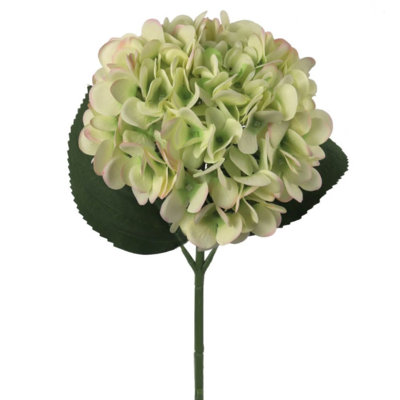 Tige d'hortensia Roper