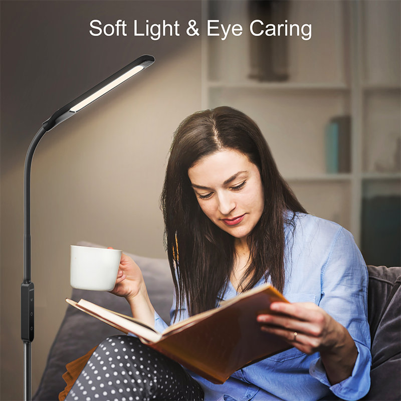 Valpas 65'' LED Traditional Floor Lamp