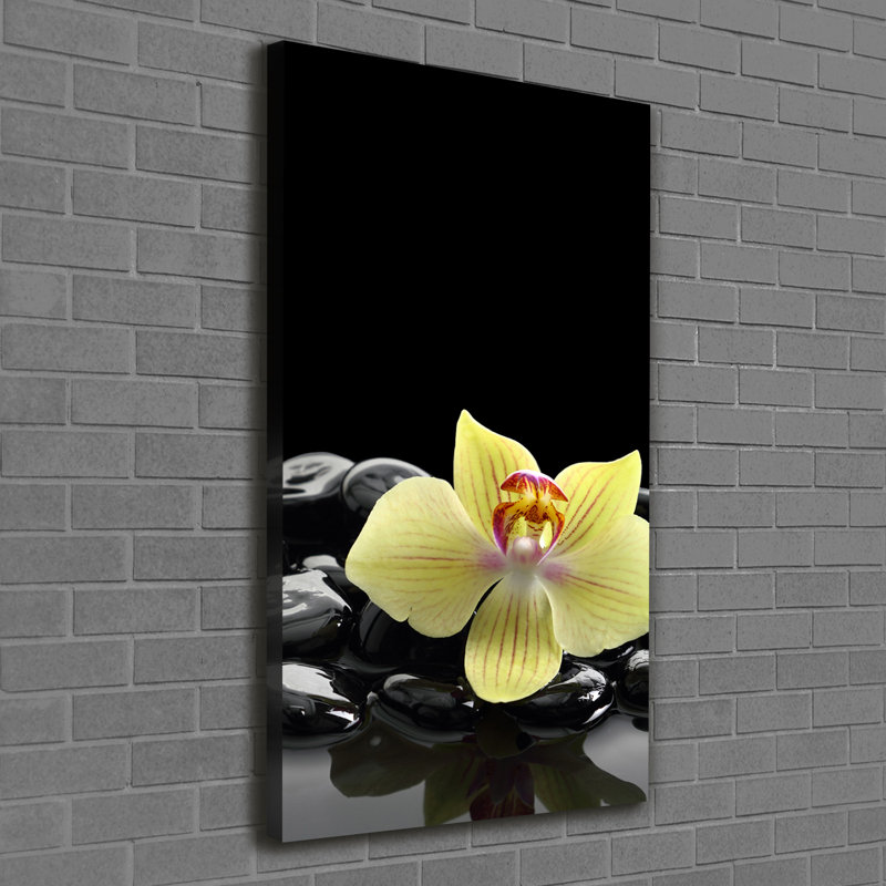 White Orchid - Wrapped Canvas Print