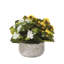 Arrangement de roses en pot-628208925