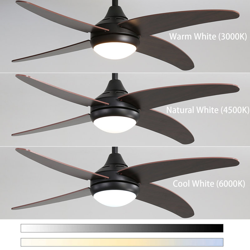 Ceiling Fan with LED Lights