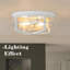 Glass Flush Mount