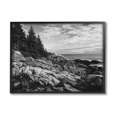 Océan rocheux, côte nuageuse, monochrome, nature