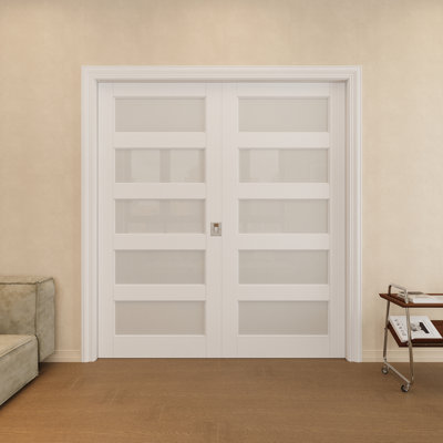 Porte à deux poches 64 po x 96 po en verre givré à 5 poches avec serrure argentée, dalle de porte en verre trempé d'intimité et de sécurité, à peindre et imperméable, combinaison pour garde-robe, portes de garde-manger, portes de chambre à coucher