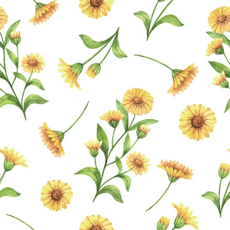 Epsom Matte Mural, 360 cm L x 250 cm W