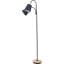 Suraiya 160cm Matte Task Floor Lamp
