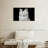 Delighted White Cat-107947789