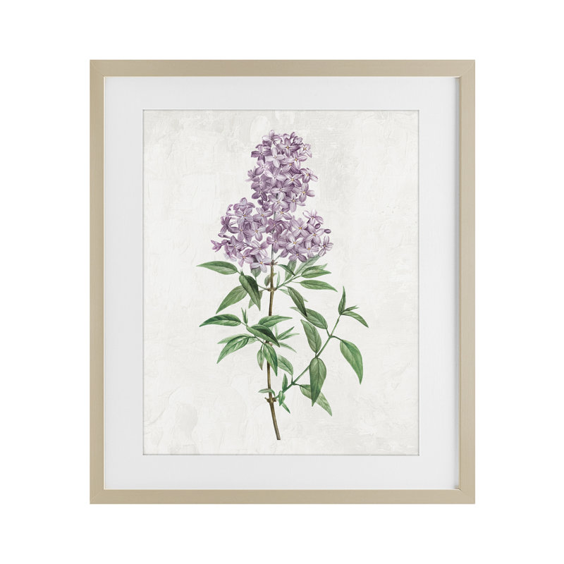 «Lilac Blossoms Blooms», reproduction encadrée sous verre, conception de Kim Allen, H 16 po x l 13 po