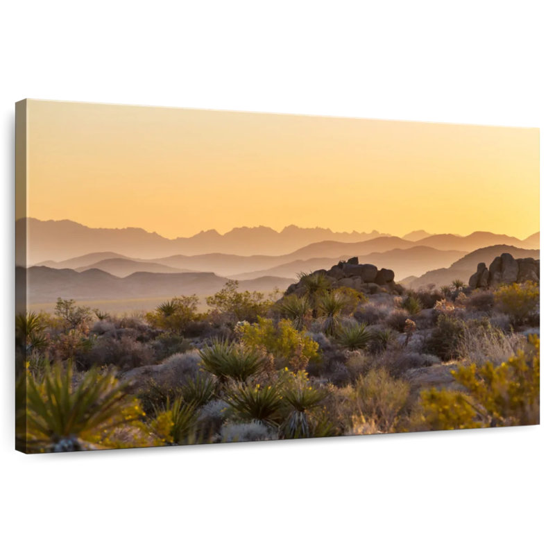 Coucher de soleil sur le jardin du désert de Nicci, H 16 po x l 24 po