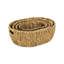Ensemble de 4 bacs en ruppie maritime