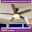 52" 5 - Blade Ceiling Fan With Light & Remote Control-219099397-219099398