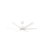 LED Ceiling Fan Globe Light Kit