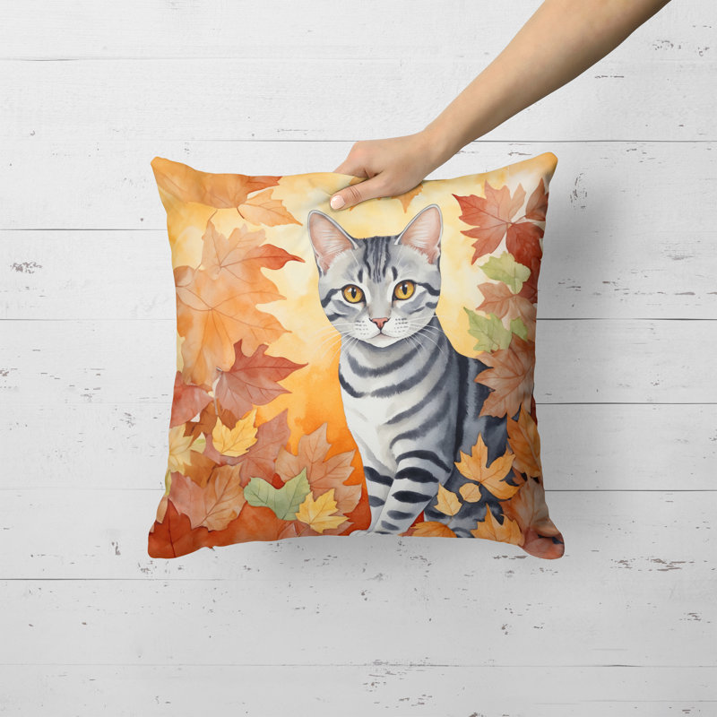 Coussin American Shorthair, Carré 18 po