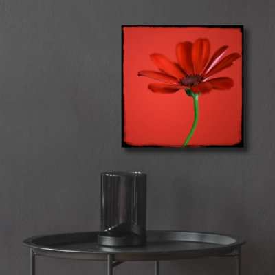 Epic Art «Red Gerbera On Red 07» par Tom Quartermai «Red Gerbera On Red 07» par Tom Quartermaine