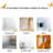 Insects Wall Decal