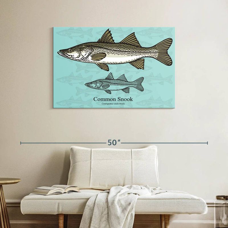 Brampt Common Snook, 26" H x 39" W