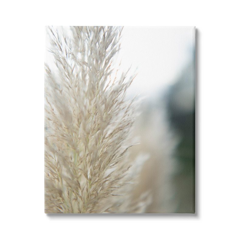 «Natural Pampas Grass Scene» par Jason Johnson - photographie sur toile tendue, H 30 po x l 24 po x P 1,5 po