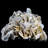 Deashley Landscape & Nature Crystal