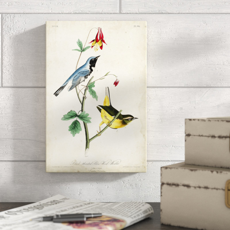 «Black-throated Blue Wood Warbler», peinture sur toile, H 12 po x l 8 po