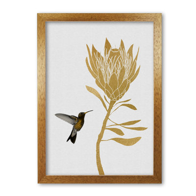 Hummingbird & Flower I - Print