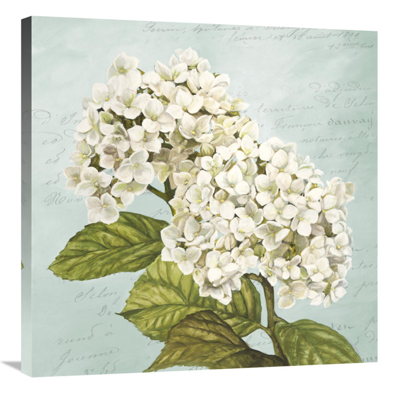 " Hydrangeas III (Aqua) ", 40" H x 40" W x 1.5" D