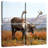Brampt Denali Reindeer