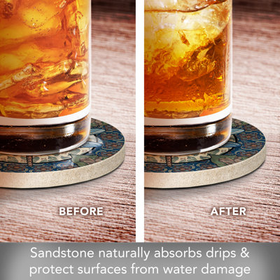 Apple Dragonfly 4-Pack Natural Sandstone Coasters