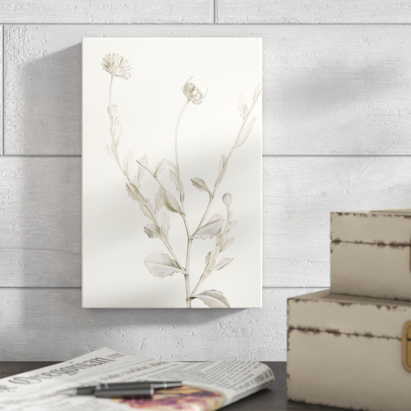 Neutral Botanical Study IV by Vision Studio - Painting Print, 30cm H x 20cm W, Wrapped Canvas