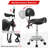 Saddle Stool With Back Support