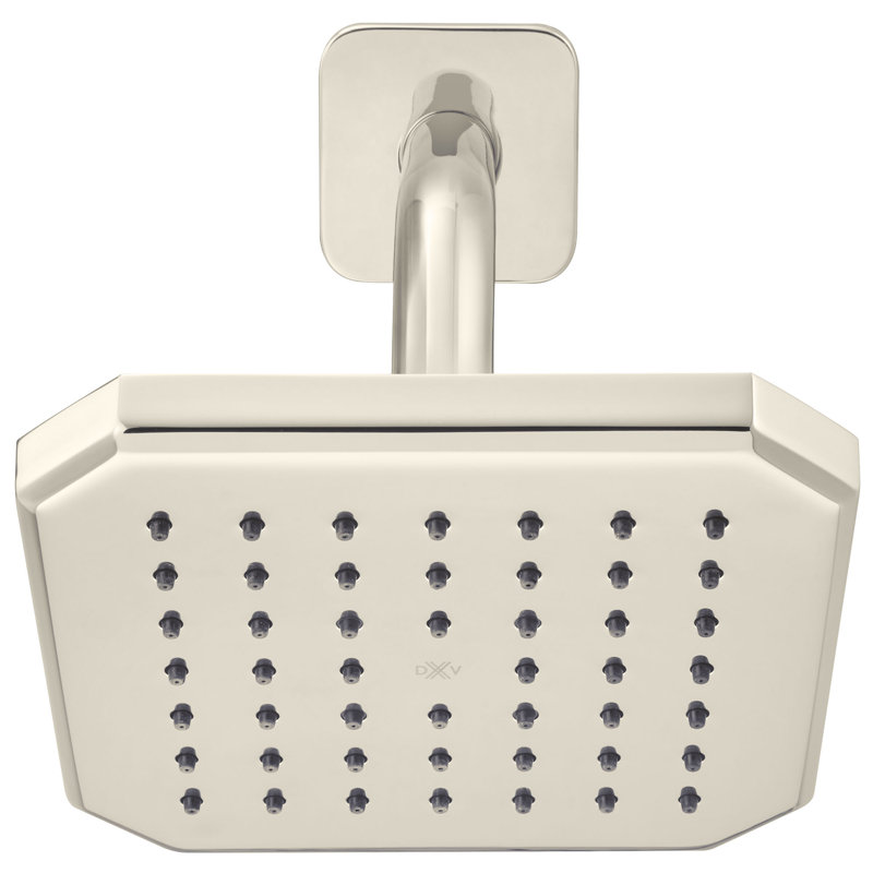 Belshire Showerhead, Pn, Platinum Nickel