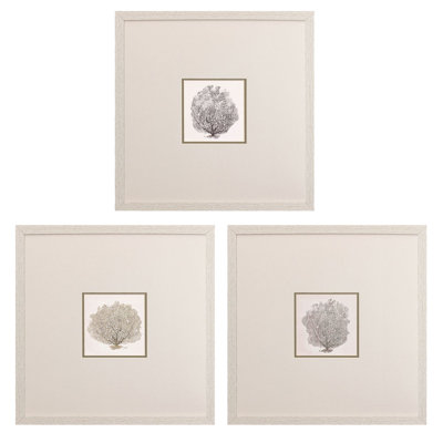 Bertlinde Corals B, reproduction encadrée sur papier 3 pièces