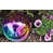 Turquoise/Purple/Polished yellow  is out of stock selected